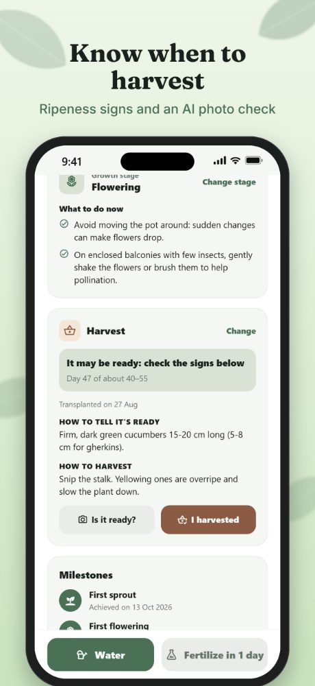 When to harvest